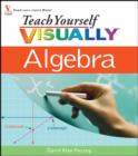 Image for Teach yourself visually algebra