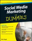 Image for Social media marketing for dummies