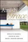 Image for Amish Grace : How Forgiveness Transcended Tragedy