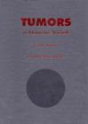 Image for Tumors in Domestic Animals