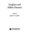 Image for Sorghum and millets diseases
