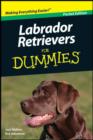 Image for Labrador Retrievers for Dummies