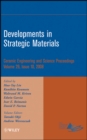 Image for Developments in Strategic Materials: Ceramic Engineering and Science Proceedings