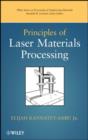 Image for Principles of laser materials processing