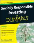 Image for Socially responsible investing for dummies