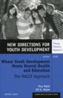 Image for Where Youth Development Meets Mental Health and Education: The RALLY Approach