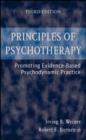 Image for Principles of Psychotherapy: Promoting Evidence-Based Psychodynamic Practice