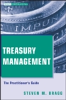 Image for Treasury management  : the practitioner&#39;s guide