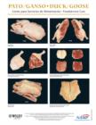 Image for North American Meat Processors Spanish Duck/goose Notebook Guides/Guias Del Cuaderno De Pato/ganso En Espanol Para La Asociacion Norteamericana De Procesadores De Carne