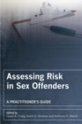 Image for Assessing risk in sex offenders: a practitioner&#39;s guide