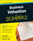 Image for Business valuation for dummies