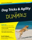 Image for Dog tricks &amp; agility for dummies