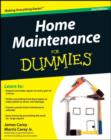Image for Home maintenance for dummies