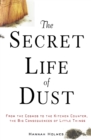 Image for The secret life of dust: from the cosmos to the kitchen counter, the big consequences of little things