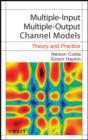 Image for Multiple-input multiple-output channel models: theory and practice