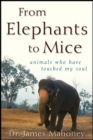 Image for From elephants to mice: animals who have touched my soul