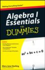 Image for Algebra I essentials for dummies