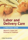 Image for Labor and delivery care  : a practical guide