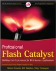 Image for Professional FLSHG CAST  : building user experiences for rich Internet applications