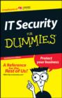 Image for Small Business IT Security For Dummies in English