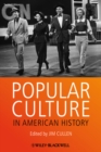 Image for Popular Culture in American History