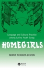 Image for Homegirls: language and cultural practice among Latina youth gangs