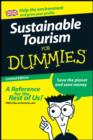 Image for Sustainable Tourism For Dummies
