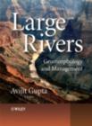 Image for Large rivers: geomorphology and management