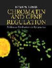 Image for Chromatin and Gene Regulation