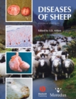 Image for Diseases of sheep.