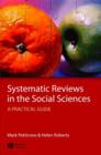 Image for Systematic Reviews in the Social Sciences - A Practical Guide