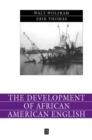 Image for The development of African American English