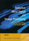 Image for Adaptive Blind Signal &amp; Image Processing - Learning Algorithms &amp; Applications