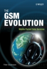 Image for The GSM evolution  : traffic engineering for packet data services