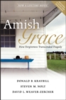 Image for Amish grace: how forgiveness transcended tragedy