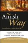 Image for The Amish Way: Patient Faith in a Perilous World