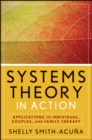 Image for Systems theory in action: applications to individual, couples, and family therapy