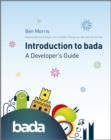 Image for An Introduction to Bada