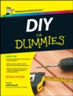 Image for DIY All-in-One for Dummies