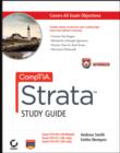 Image for CompTIA Strata study guide