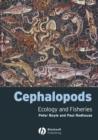 Image for Cephalopods - Ecology and Fisheries