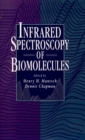 Image for Infrared Spectroscopy of Biomolecules