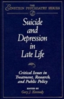 Image for Suicide and depression in late life  : critical issues in treatment, research and public policy