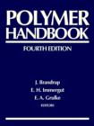 Image for Polymer Handbook