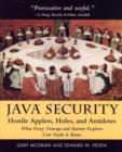 Image for Java Security