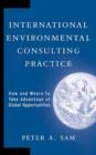 Image for International environmental consulting  : how and where to take advantage of global opportunities