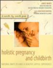 Image for Holistic pregnancy and childbirth