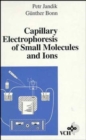 Image for Capillary Electrophoresis of Small Molecules and Ions