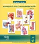 Image for Anatomy and Physiology : Regulation - The Nervous and Endocrine Systems Interactions