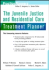 Image for The juvenile justice and residential care treatment planner